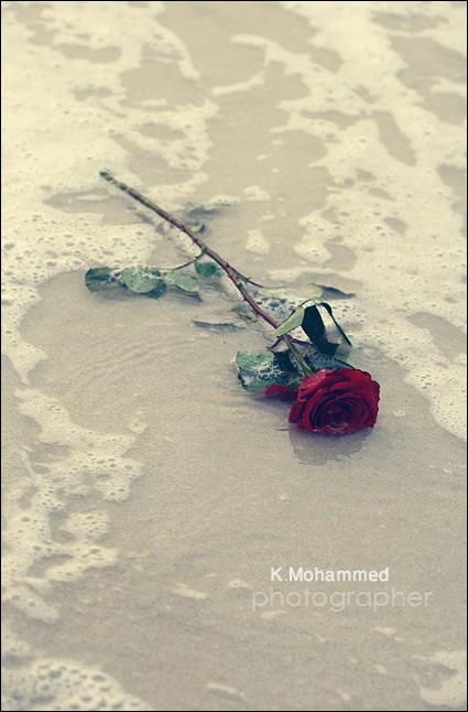 ������ ���� ������ �� ���� ������