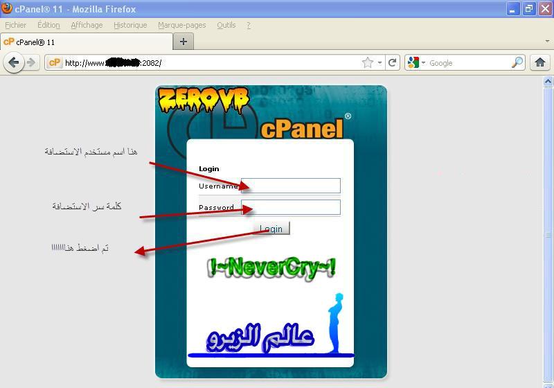 قاعدة بيانات الاستضافة