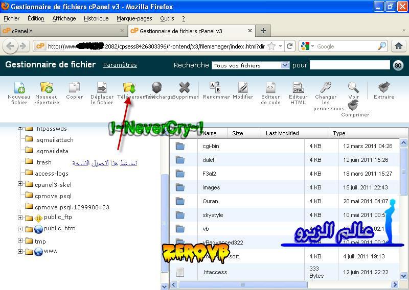 قاعدة بيانات الاستضافة