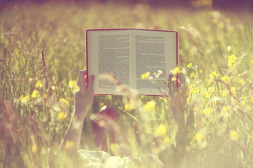 صوره وتعليق - صفحة 6 303936156