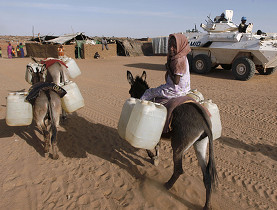 صورة