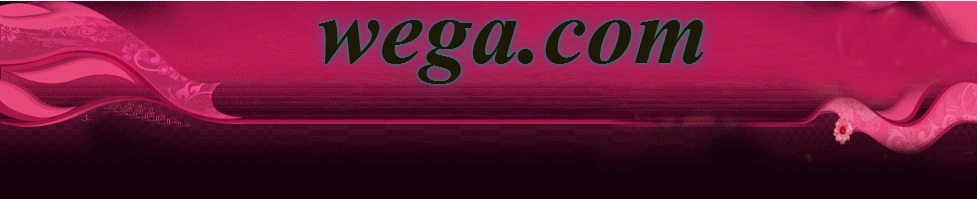 wega.0wn0.com