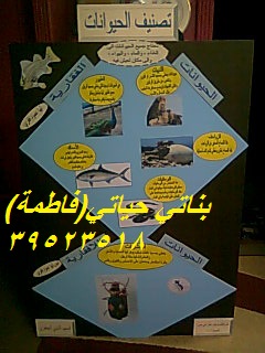 مجسمات تعليمية وسائل تقارير مطويات..بأرخص