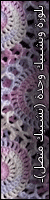����� ��������� ���� ����� ������ �������� ������ ����� (mimo edu )
��� ������� : 2,308