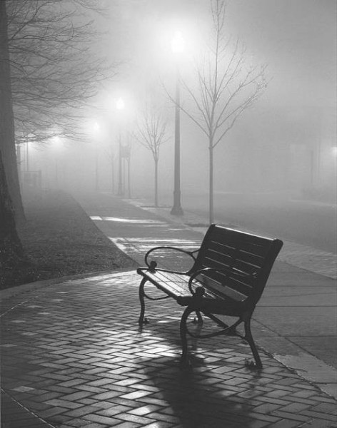 نقره لعرض الصورة في صفحة مستقلة