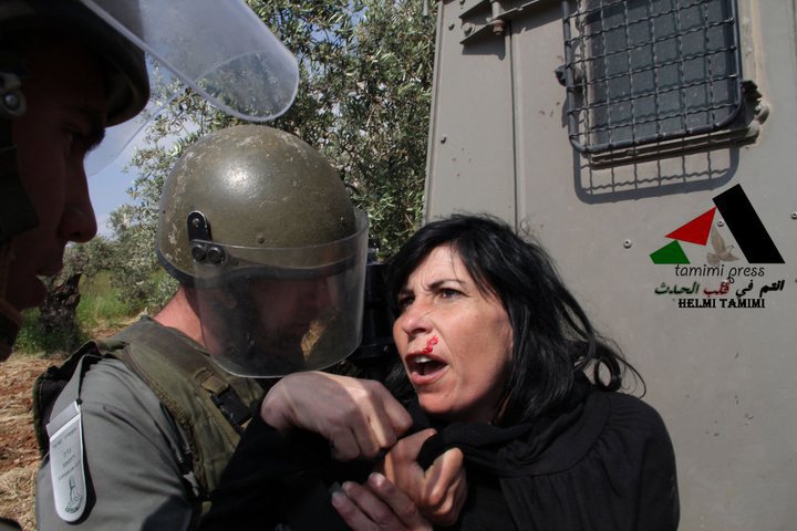 ����� ���� ���� ������ �������