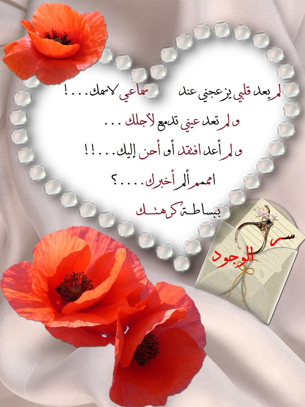 ������ ����� ����� �������� ���������