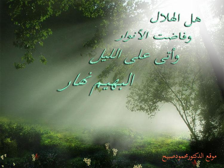 صورة