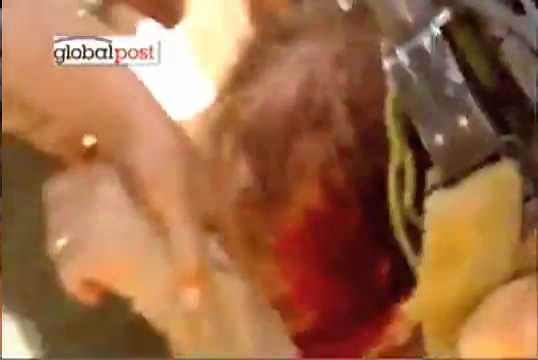 ألقذافي الرجل الحديدى ..... والقذافى النمر الورقي 298152900