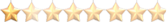 محقق مشارك محقق مشارك