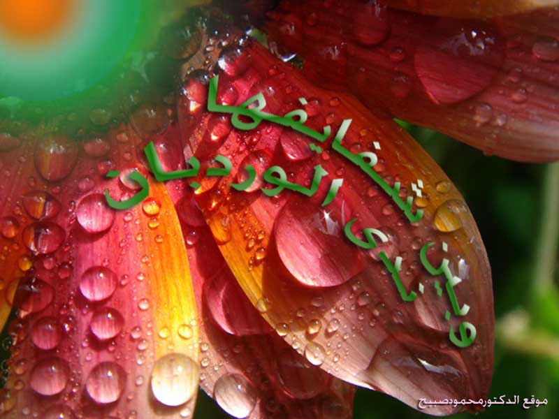 صورة