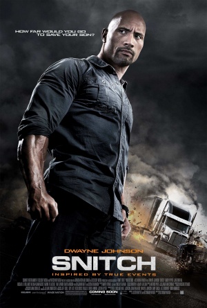 Snitch 2013 123781305.jpg