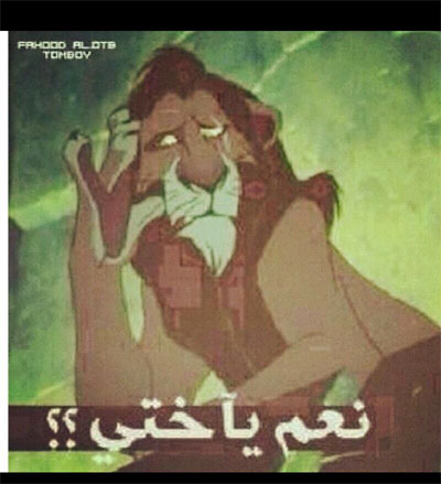 ������ ���� ������ �� ���� ������