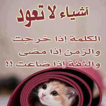 حكمة اليوم بالصور.. يتبع - صفحة 37 327722542