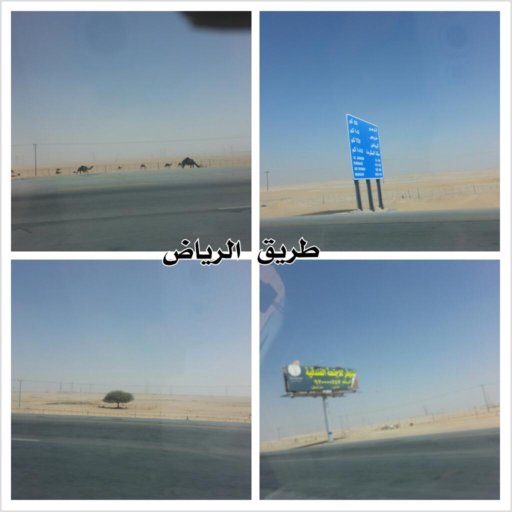 519073855.jpg