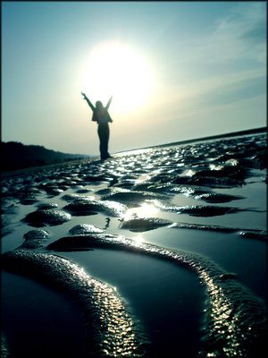 ������ ���� ������ �� ���� ������