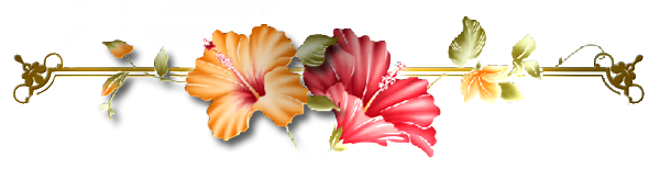 986003828.png
