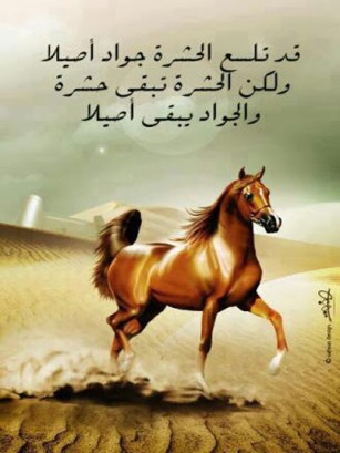 صورة