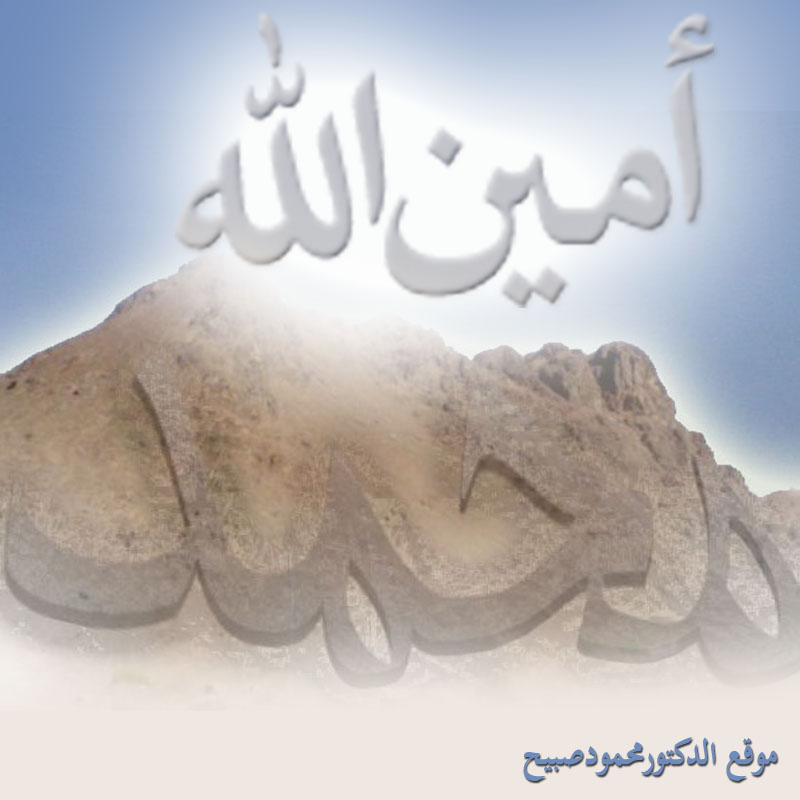 صورة