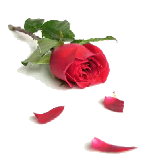 أعشاب التكثيف المؤكدة الطبيعية بالخزامى