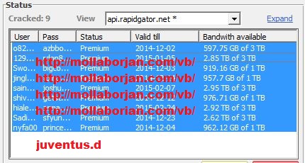 Rapidgator Premium Account X 9 +  Bandwith available 29/11