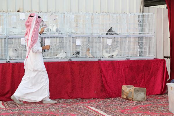 اضغط على الصورة لرؤيتها بالحجم الطبيعي