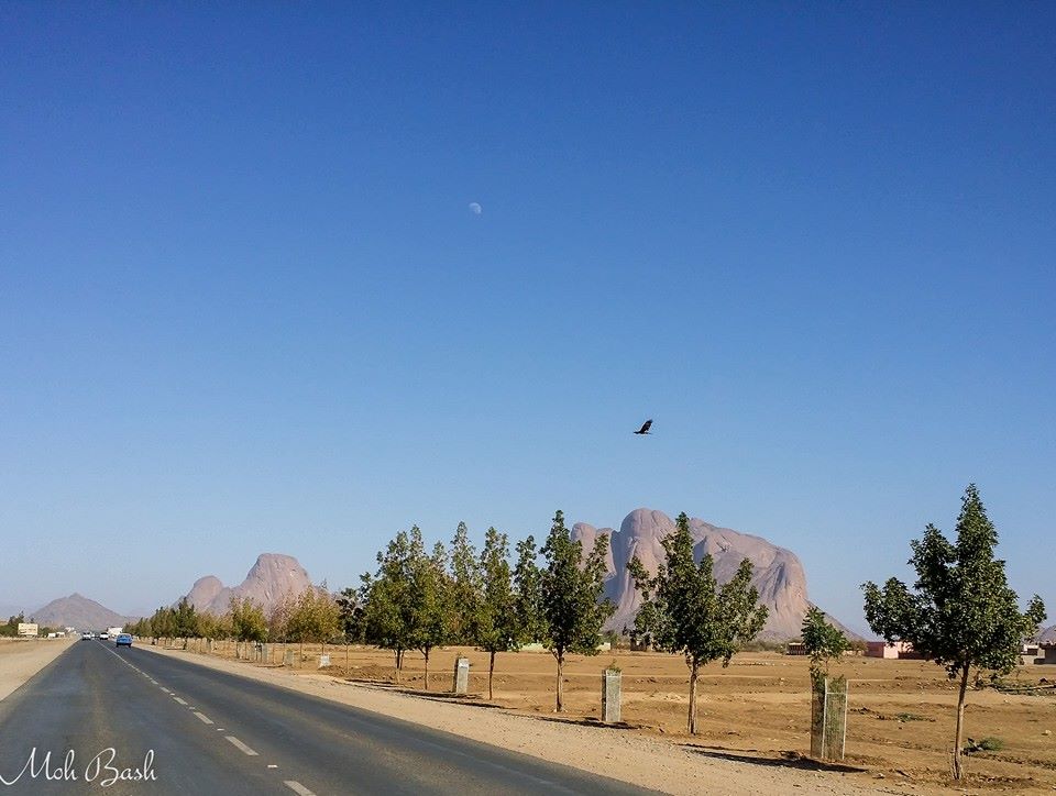 صورة