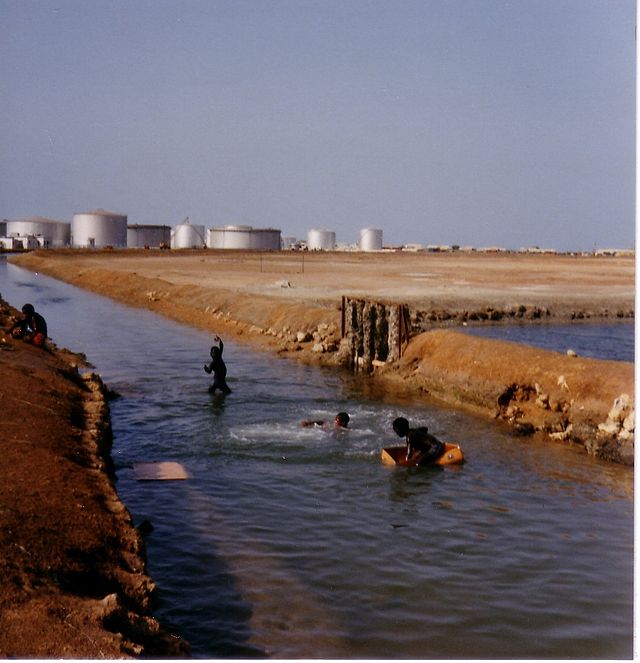 صورة