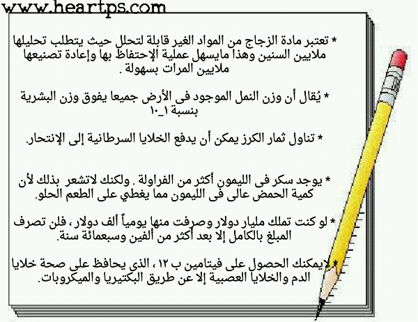 ���� ���� ������ �� ���� ������