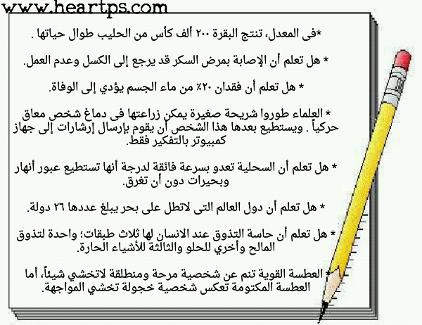 ���� ���� ������ �� ���� ������