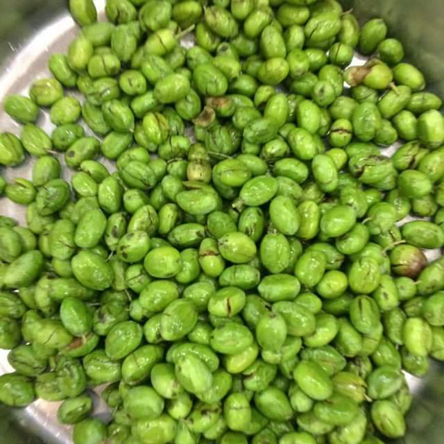 ���� ���� ������ �� ���� ������