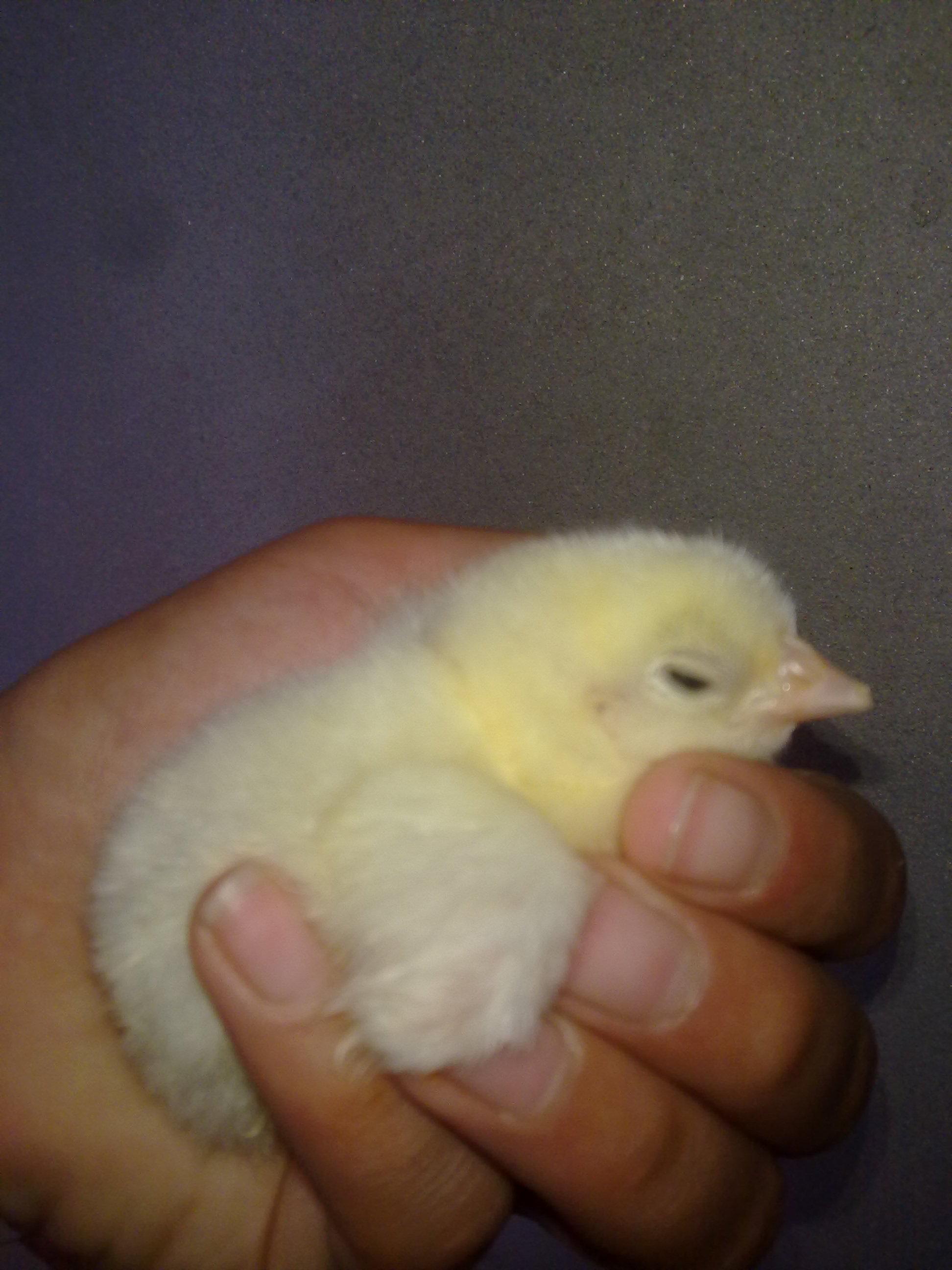 ���� ���� ������ �� ���� ������