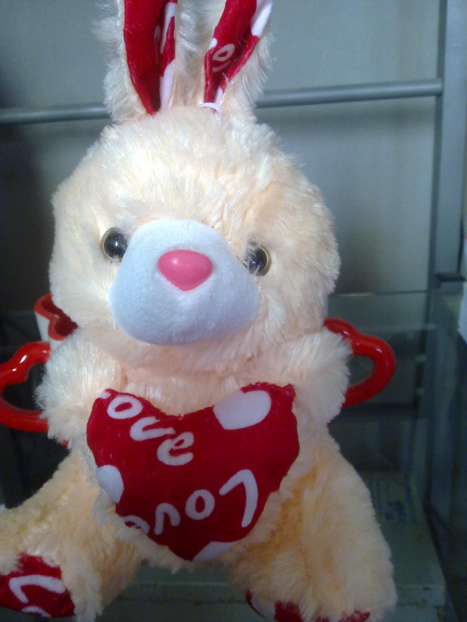 ���� ���� ������ �� ���� ������