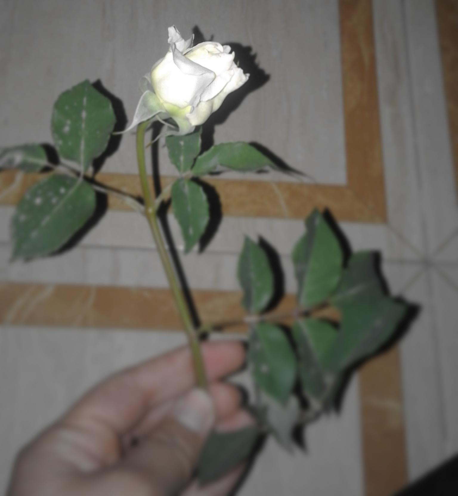 ���� ���� ������ �� ���� ������