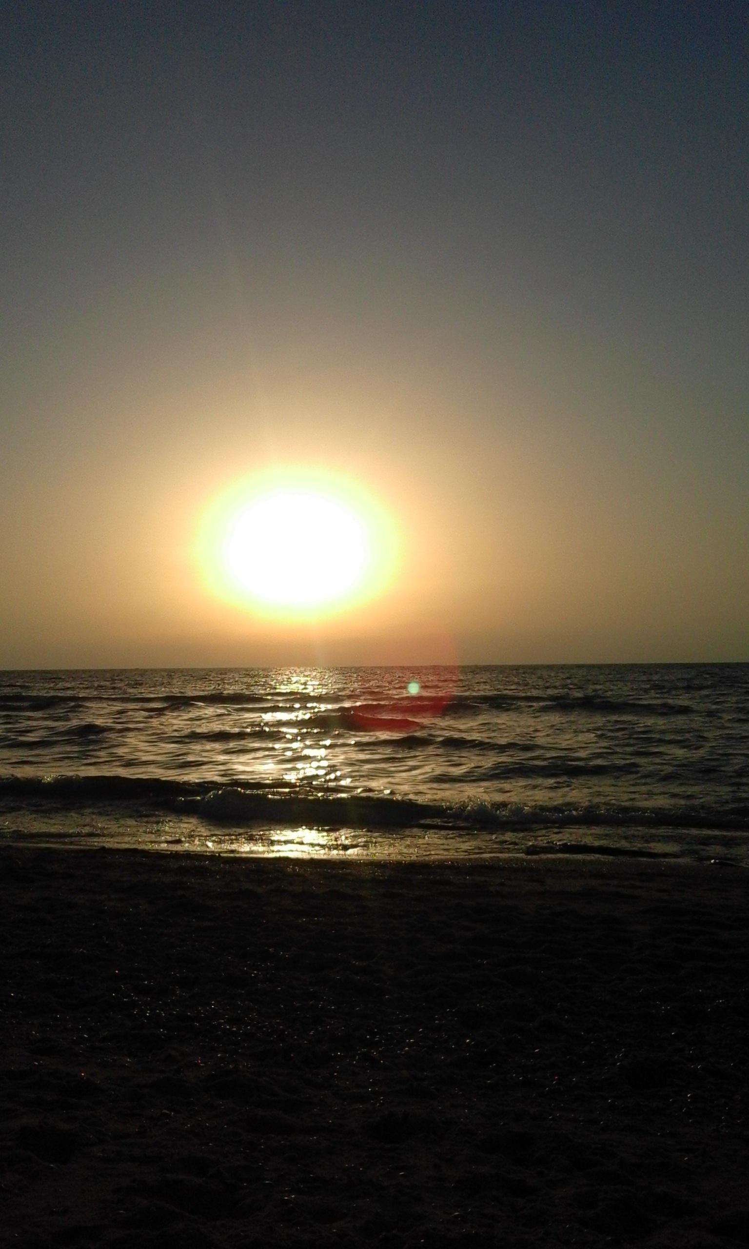 ���� ���� ������ �� ���� ������