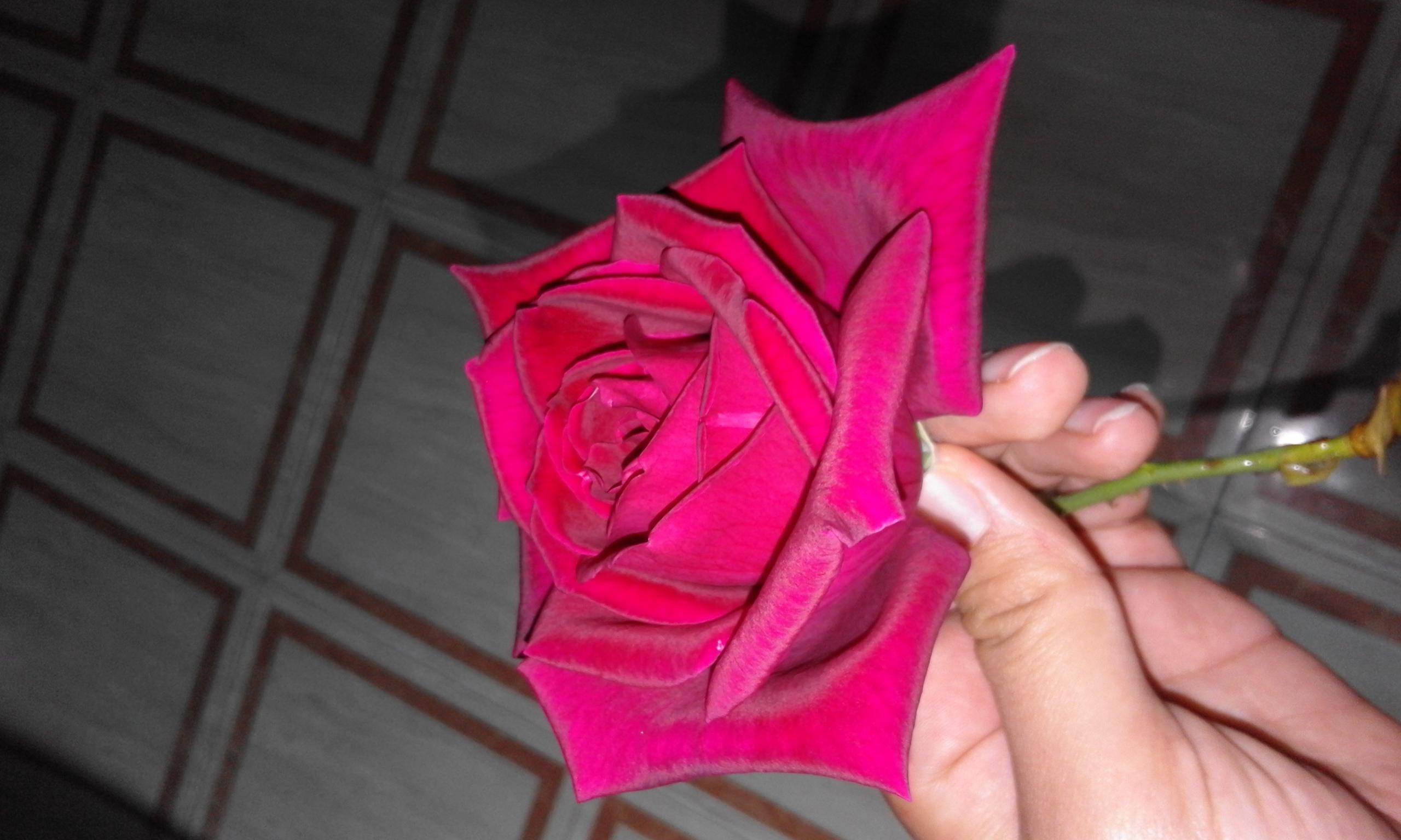 ���� ���� ������ �� ���� ������