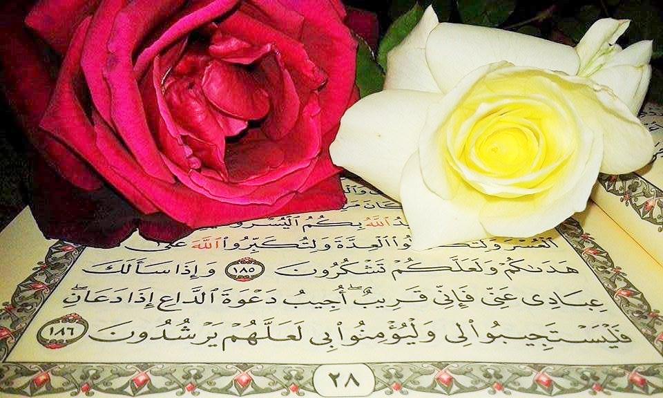 ���� ���� ������ �� ���� ������