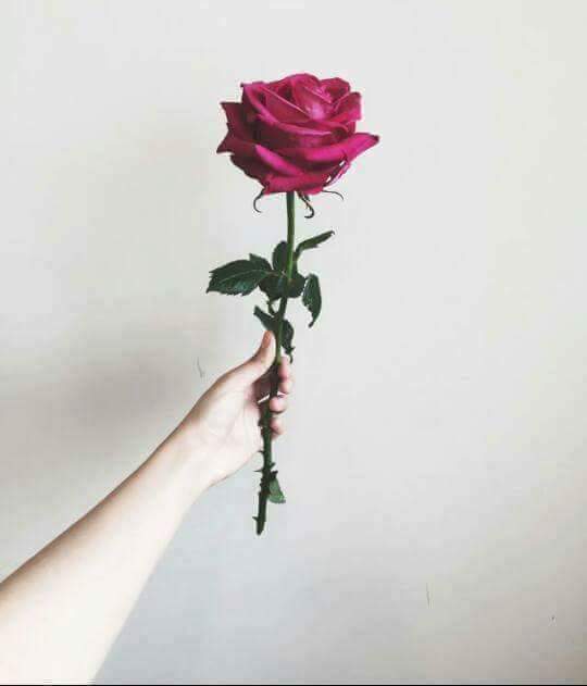 ���� ���� ������ �� ���� ������