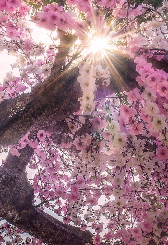 ���� ���� ������ �� ���� ������