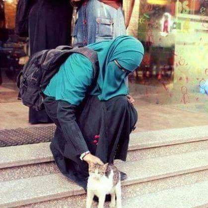 ���� ���� ������ �� ���� ������