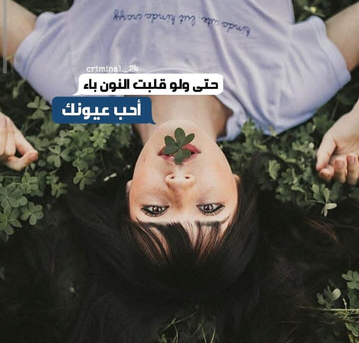 نقره لعرض الصورة في صفحة مستقلة