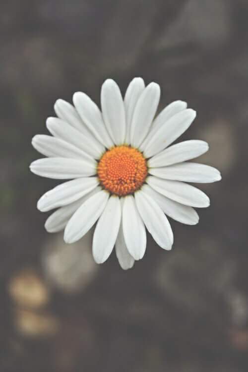 ���� ���� ������ �� ���� ������