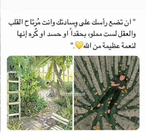 ���� ���� ������ �� ���� ������