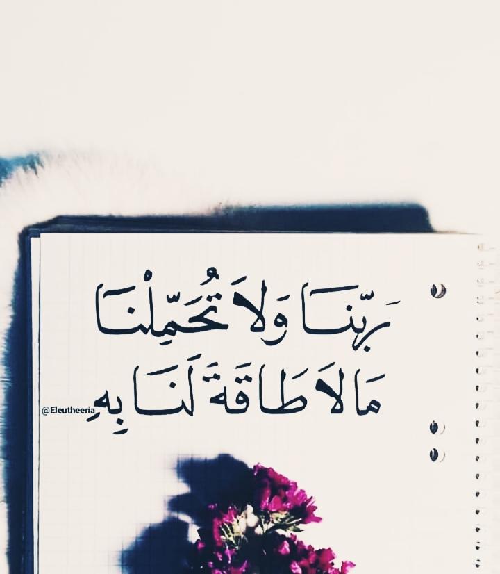 ���� ���� ������ �� ���� ������