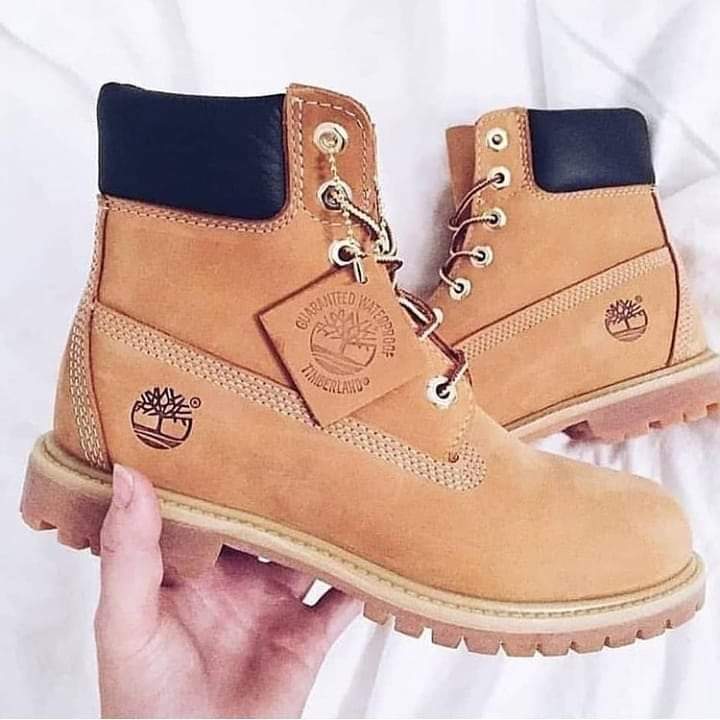 ���� ���� ������ �� ���� ������