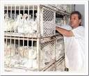 ايـــــن تـــــذهـــــــــب المســـــــــــــاء
