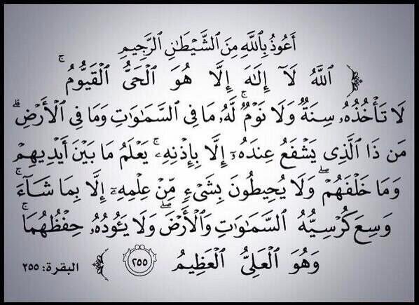 شاركنا بصورة تكسبك أجراً  - صفحة 15 773802653