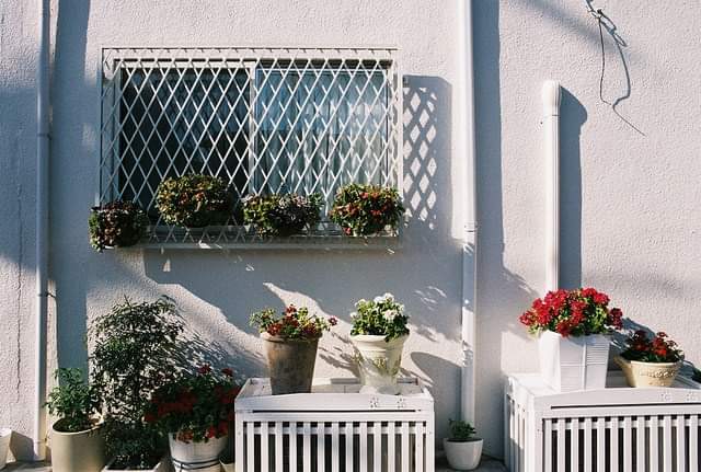 ���� ���� ������ �� ���� ������