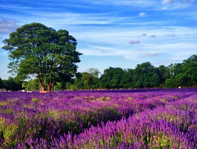 ���� ���� ������ �� ���� ������