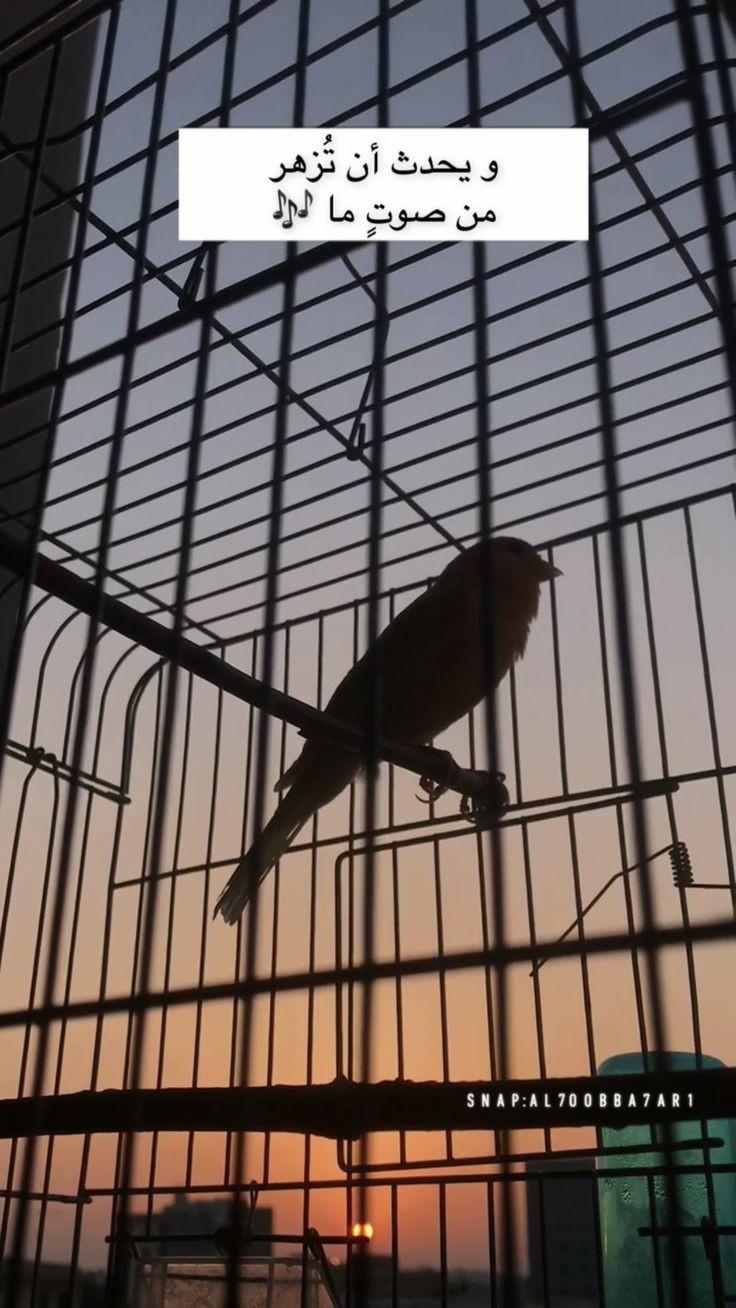 ���� ���� ������ �� ���� ������